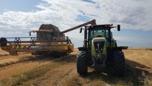 Moisson 2024 perte de revenu pour les agriculteurs